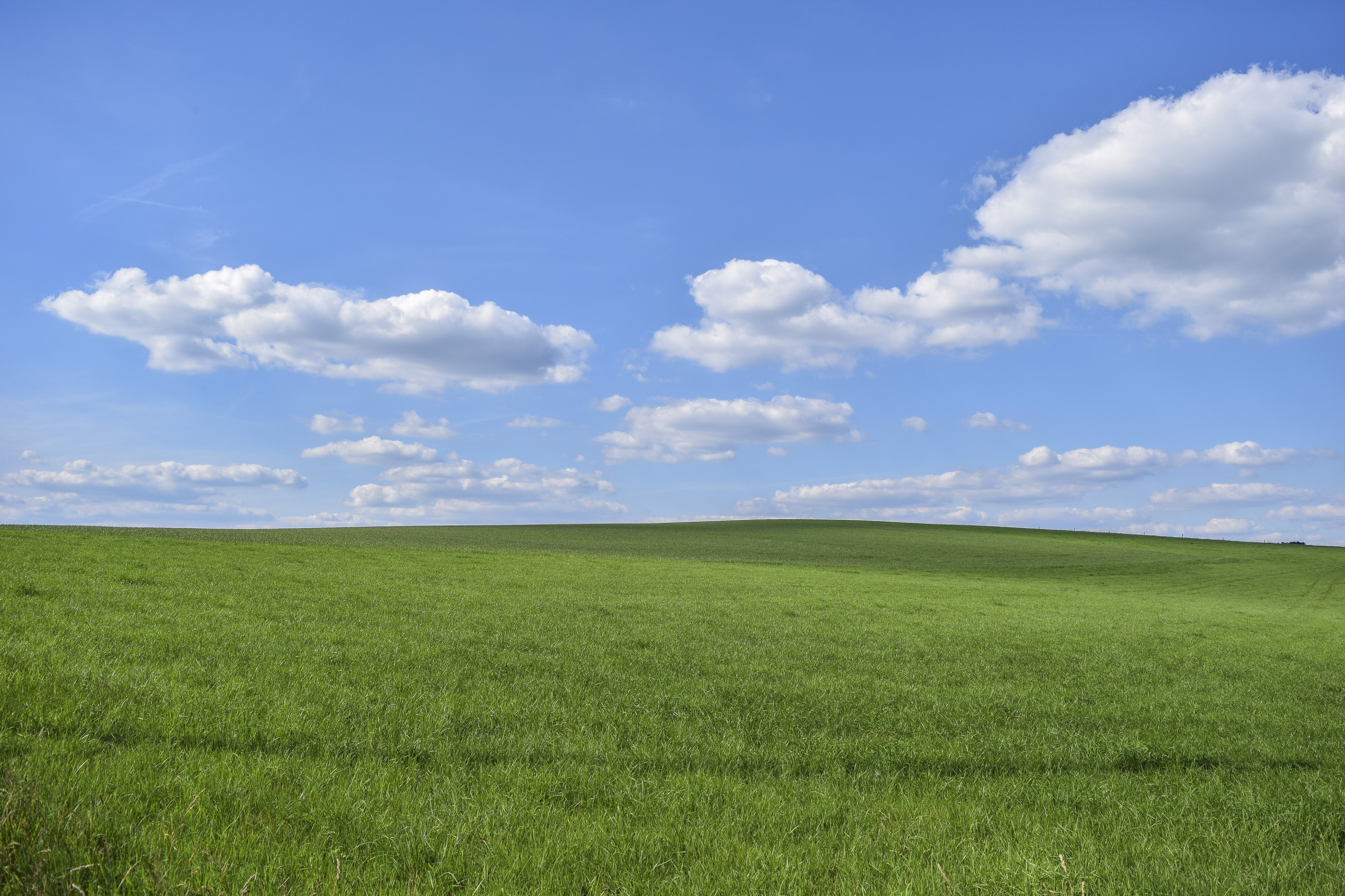 Grüne Wiese mit blauem Himmel