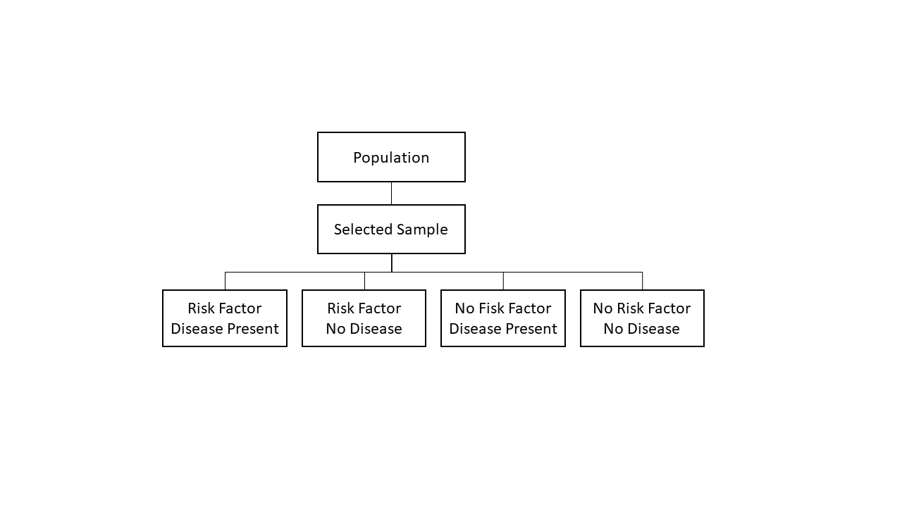 Cross-Sectional Analysis